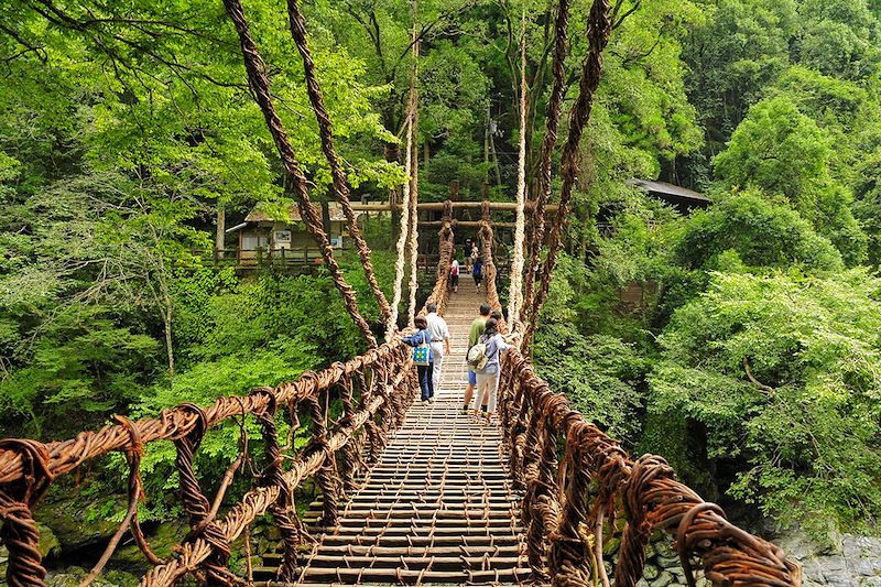 Vallée d'Iya - Shikoku - Japon