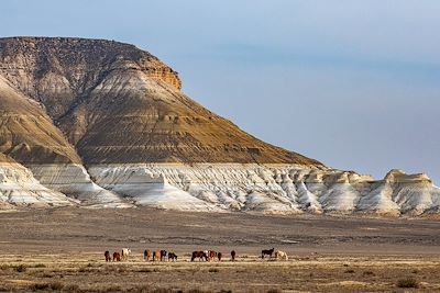 Mangystau : Splendeurs secrètes