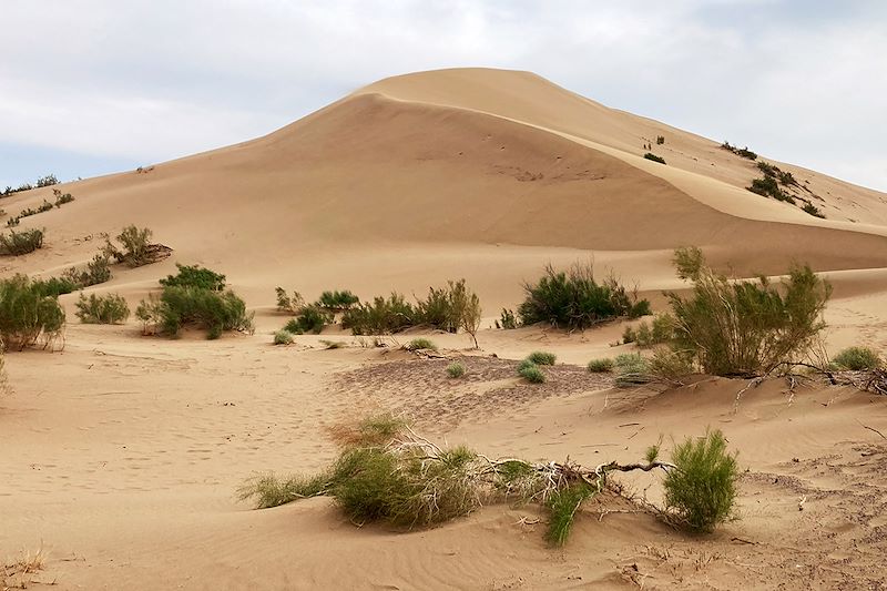 Dunes chantantes du Parc national Altyn-Emel - Kazakhstan