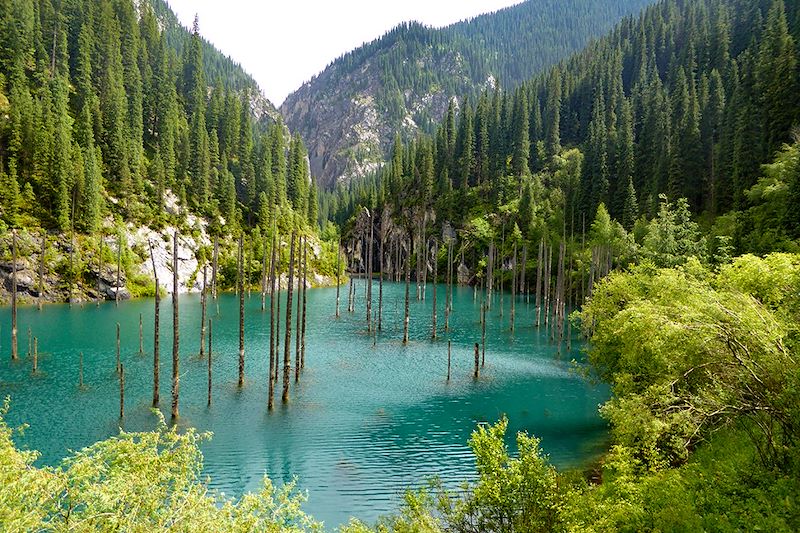 Lac Kaindy - Oblys d'Almaty - Kazakhstan