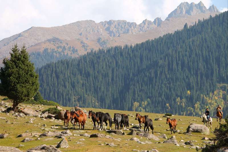 Trésors Kazakh et beauté sauvage Kirghize 