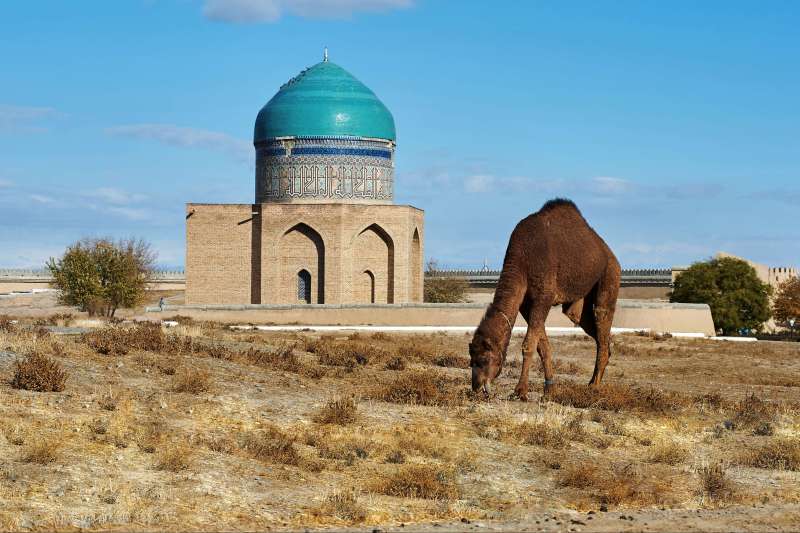 Arpenter la fascinante route de la soie, des majestueuses étapes au Kazakhstan aux envoûtantes cités d’Ouzbékistan.