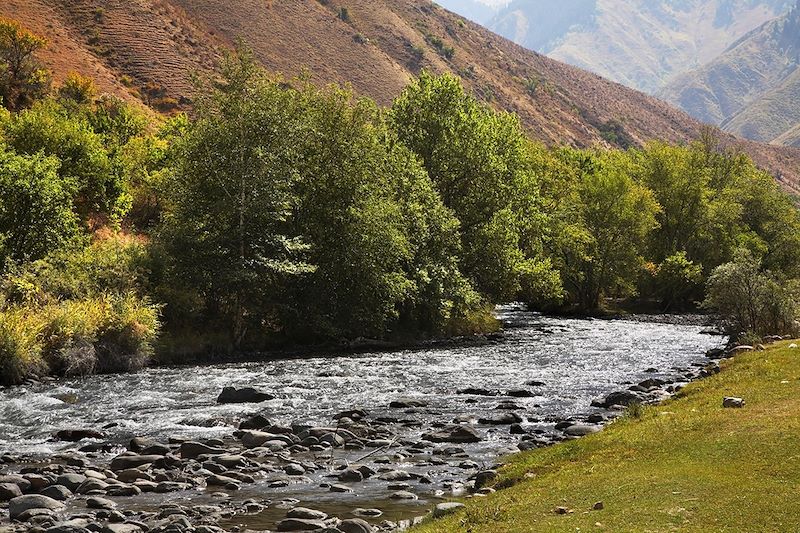 Rivière Turgen dans les gorges de Turgen - Kazakhstan