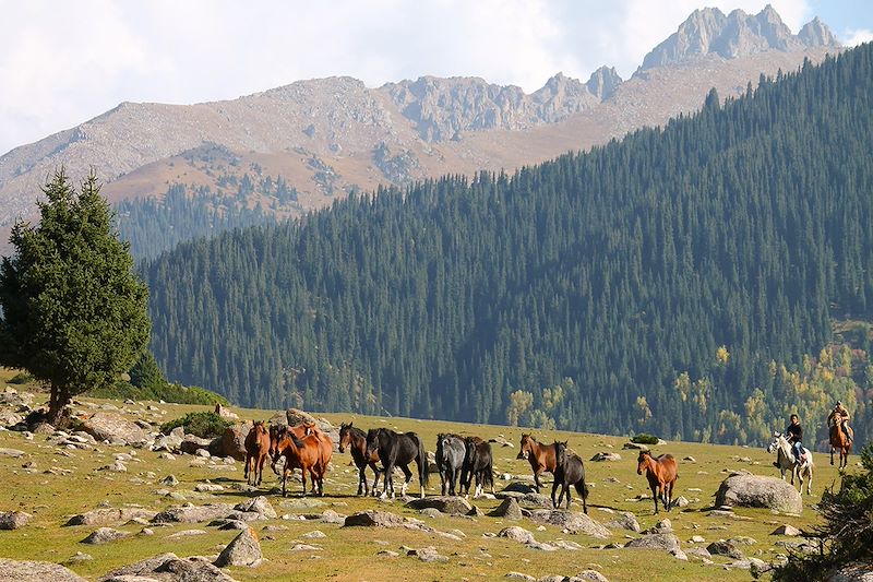 Trésors Kazakh et beauté sauvage Kirghize 