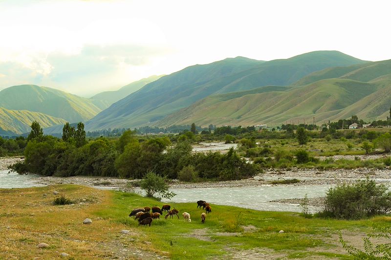 Parc national de Chong-Kemin - Région de Chüy - Kirghizistan