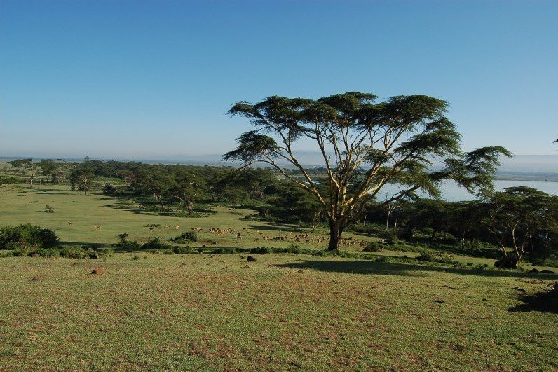 Sanctuaire de Crescent Island - Parc du Lac Naivasha - Kenya