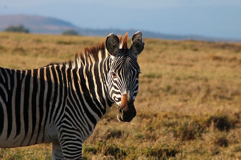 Safari en lodge entre filles !