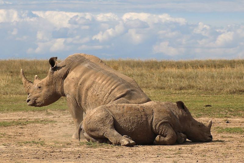 Safari en lodge entre filles !
