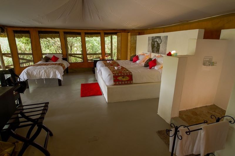 Nyota Mara Lodge / Superior Tent - Masai Mara - Kenya