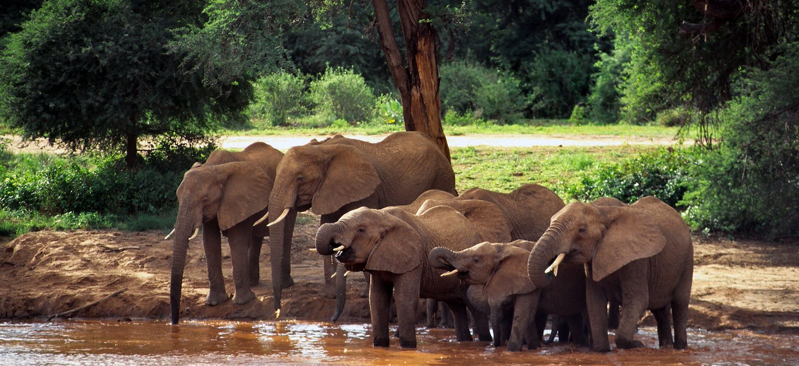 Image Mont Kenya : 2ème sommet d'Afrique