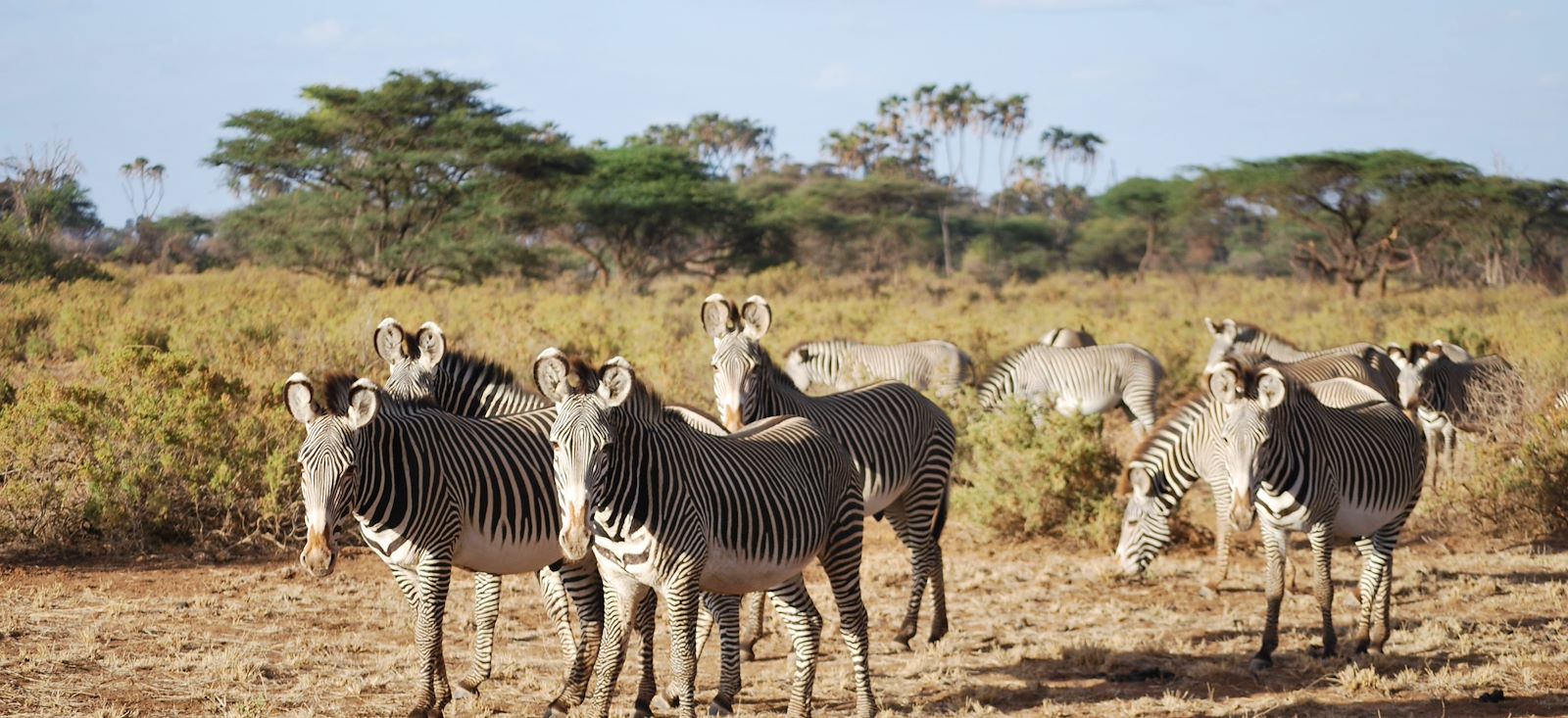 Image Mont Kenya : 2ème sommet d'Afrique
