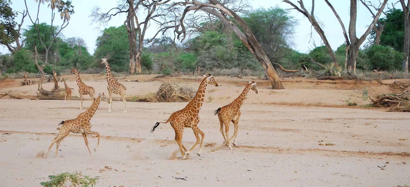Image Mont Kenya : 2ème sommet d'Afrique