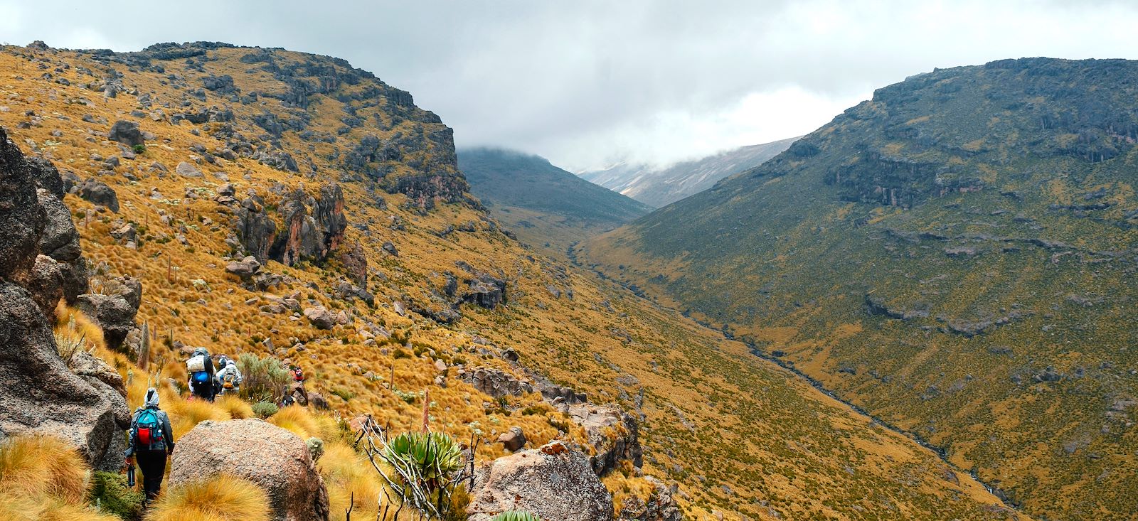 Image Mont Kenya : 2ème sommet d'Afrique