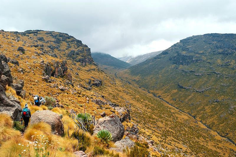 Randonneurs dans la Mackinder's Valley - Parc national du Mont Kenya - Kenya