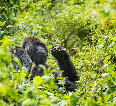 Voyages sur mesure Kenya
