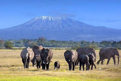 voyage Safaris kenyans de la savane à l'océan