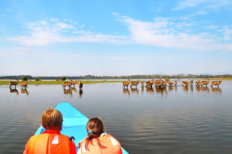 Safari sur le lac Naivasha - Kenya