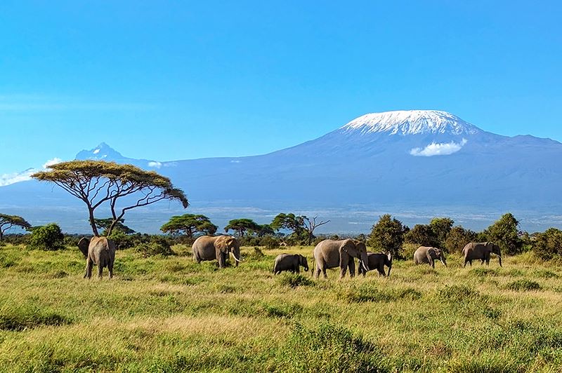 Parc national d'Amboseli - Kenya