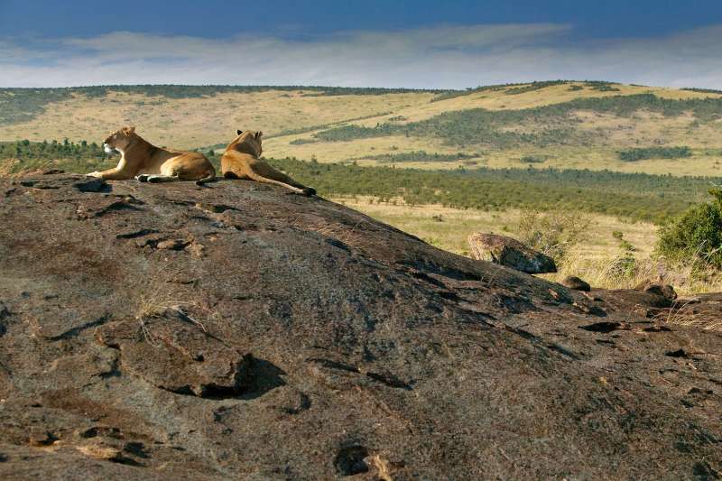 Autotour et safari en 4x4 avec tente de toit, d’Amboseli au Masai Mara, via le lac Nakuru et Hell's Gate dans la vallée du Rift.