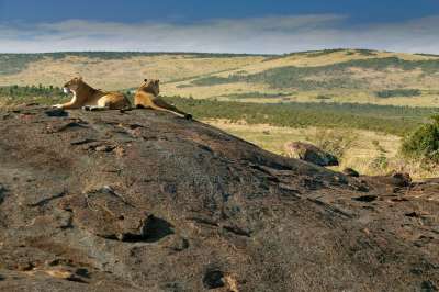 voyage Le Kenya sous les étoiles