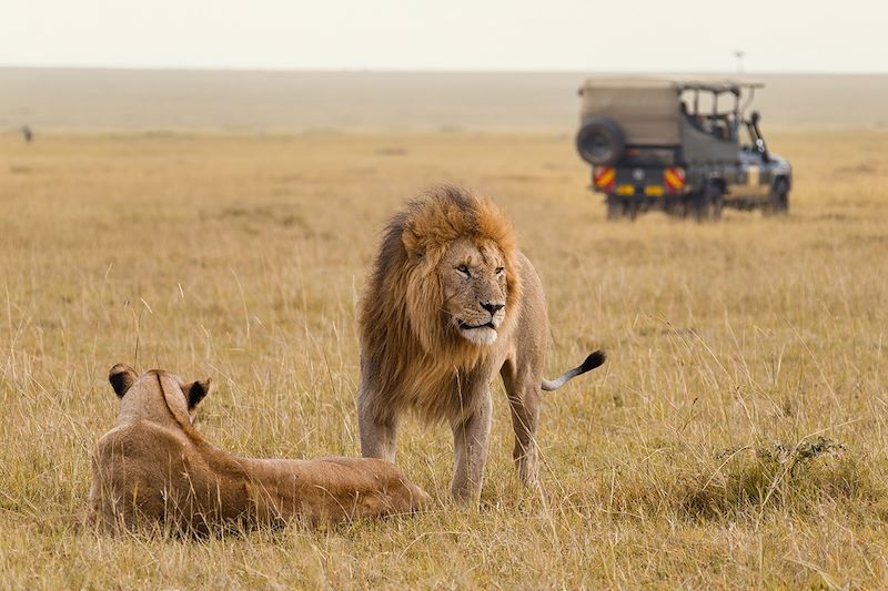 Réserve nationale du Masai Mara - Kenya