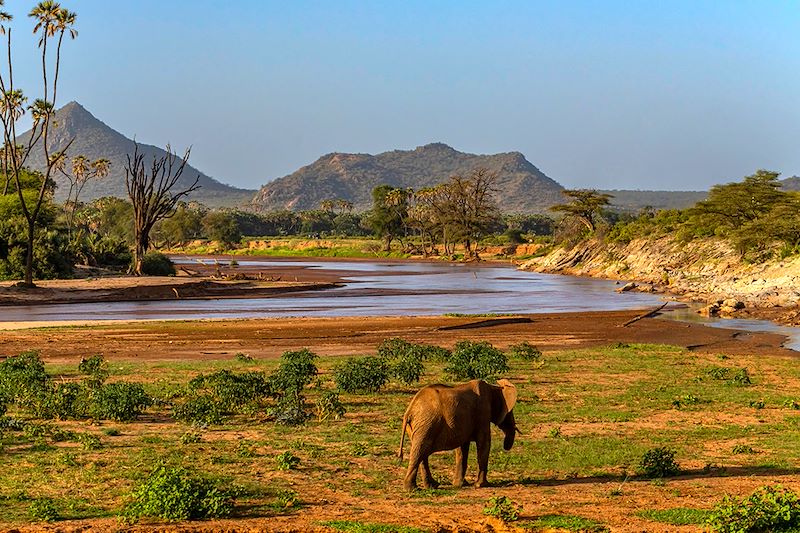 Rivière Ewaso Ng'iro - Réserve nationale de Samburu - Kenya