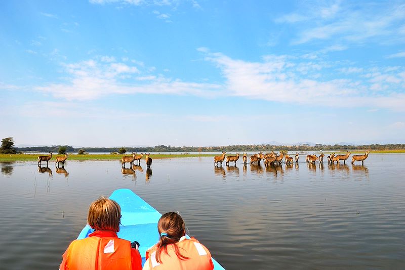 Safari sur le lac Naivasha - Kenya