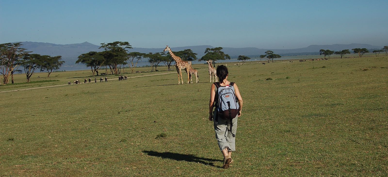 Image Total Trip au Kenya