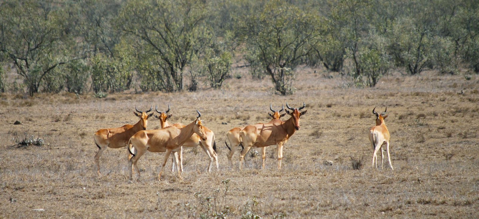Image Total Trip au Kenya