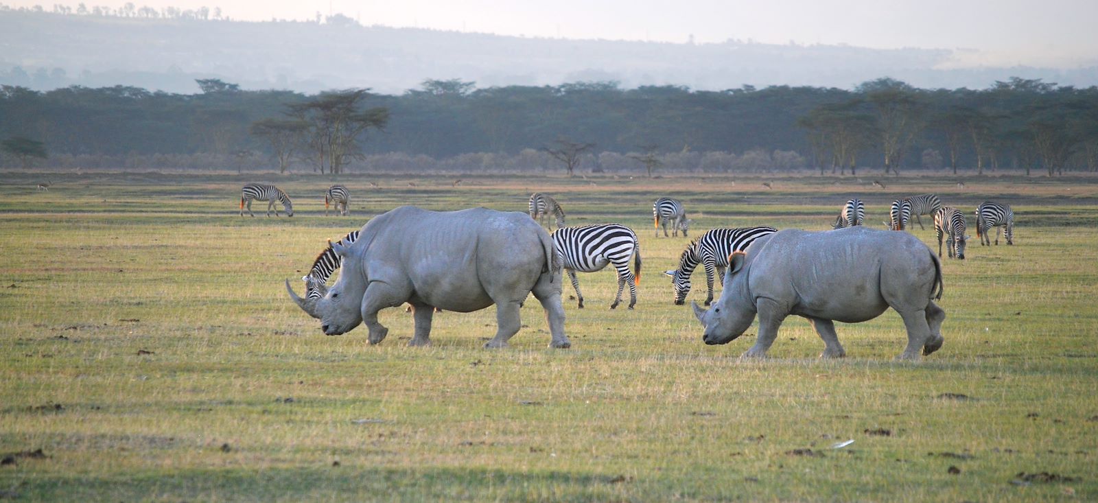 Image Total Trip au Kenya