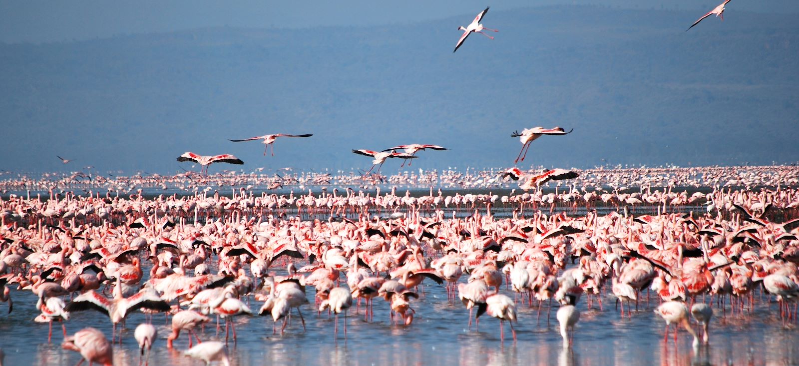 Image Total Trip au Kenya