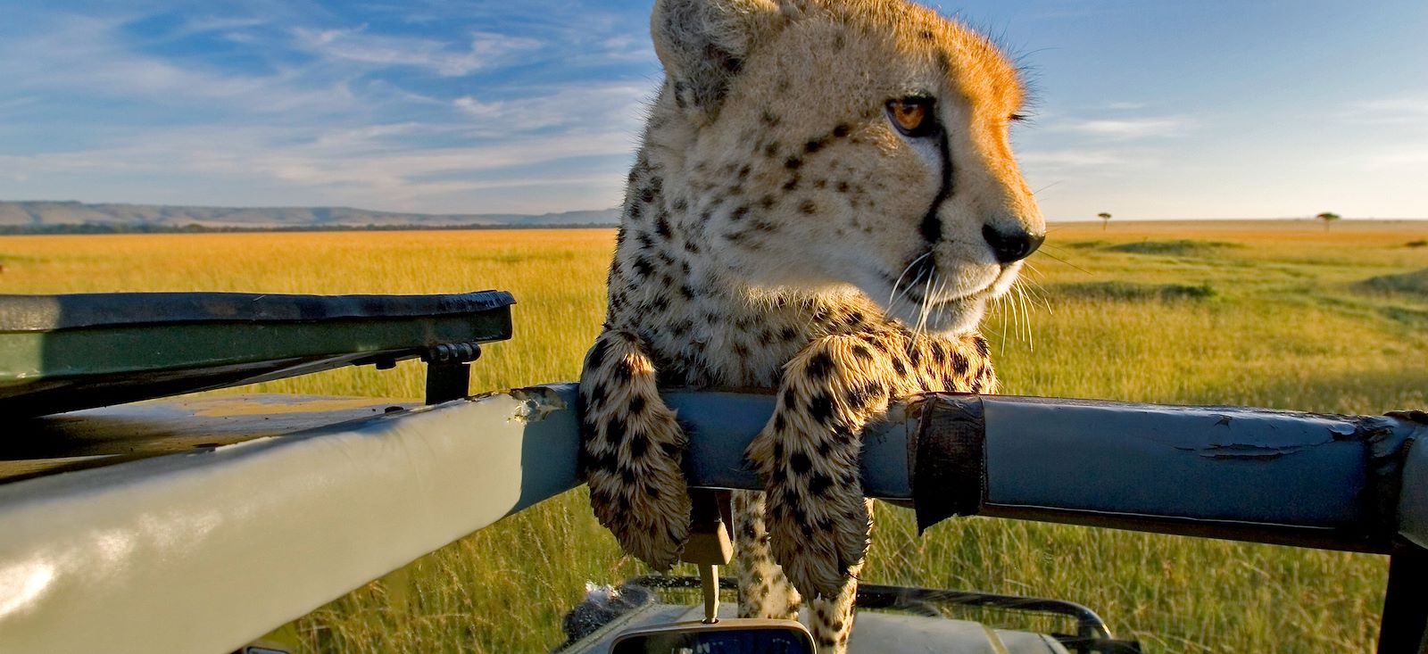Image Total Trip au Kenya