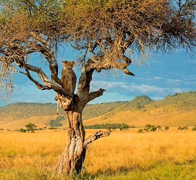 Voyages sur mesure Kenya