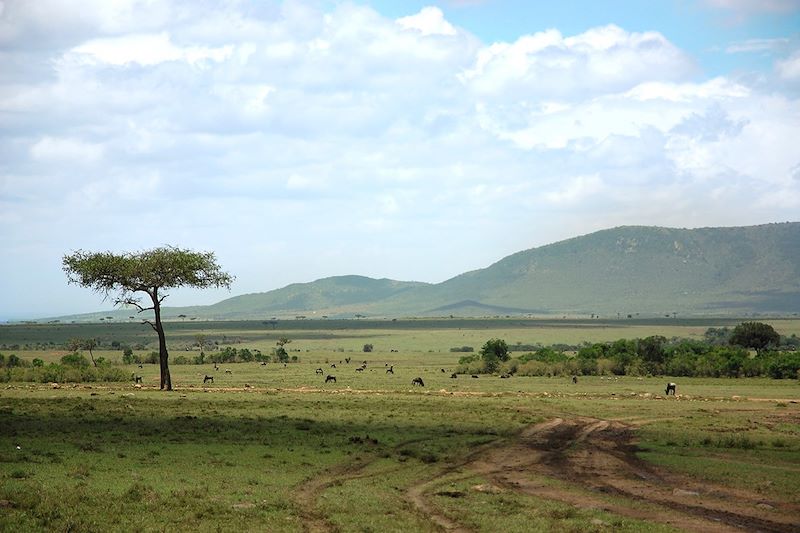 Safari & Rando en pays Masaï