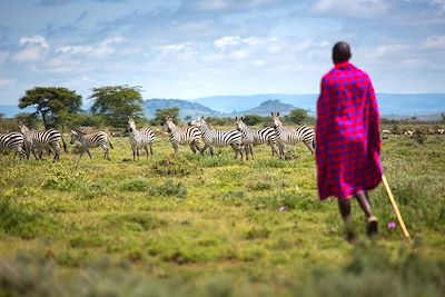 Océan et savane, un safari eco friendly 4