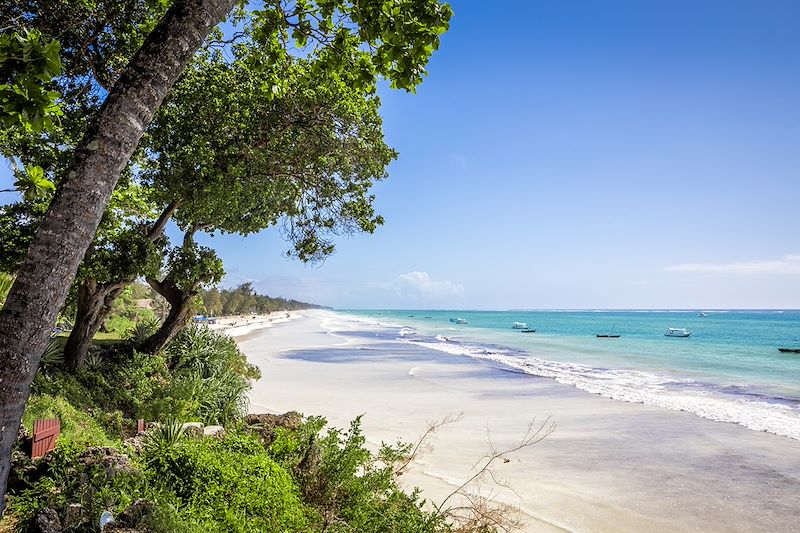 Diani Beach - Comté de Kwale - Kenya