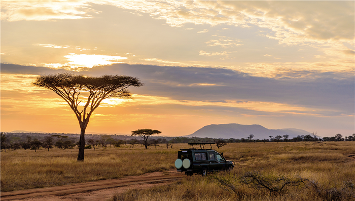 Safari dans le parc du Serengeti - Tanzanie