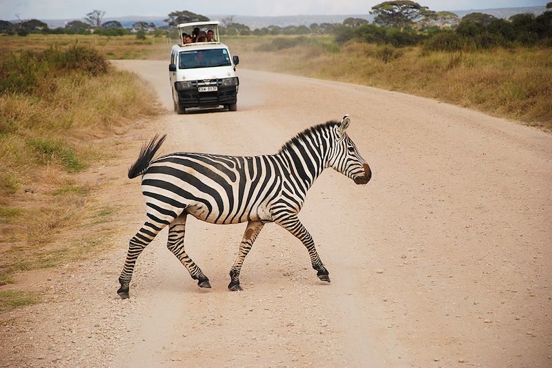 En train au Kenya ! 