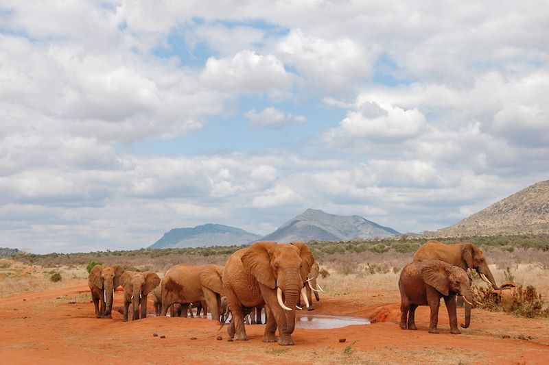 En train au Kenya ! 