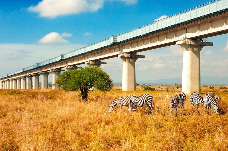 Empruntez le train local kenyan pour sortir de la capitale et rencontrez votre guide pour un safari  à Tsavo et à Amboseli 