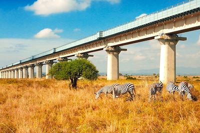 voyage En train au Kenya ! 