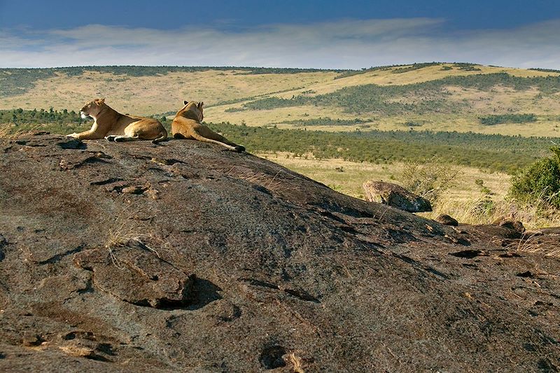 Autotour et safari en 4x4 avec tente de toit, d’Amboseli au Masai Mara, via le lac Nakuru et Hell's Gate dans la vallée du Rift.