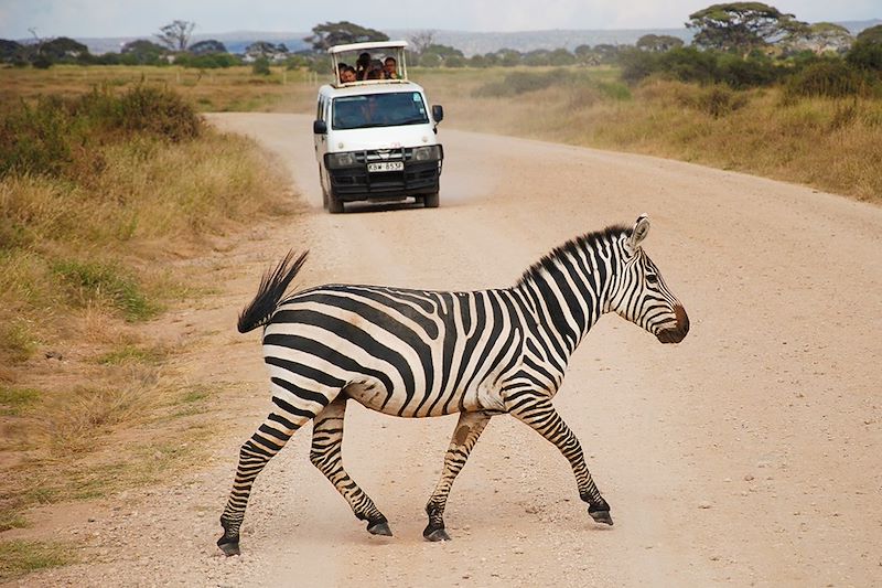 Safari dans le parc national d'Amboseli - Kenya