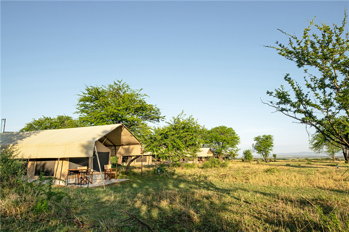 Tarangire Kati Kati - Parc du Tarangire - Tanzanie