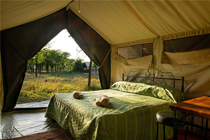 Tarangire Kati Kati - Parc du Tarangire - Tanzanie