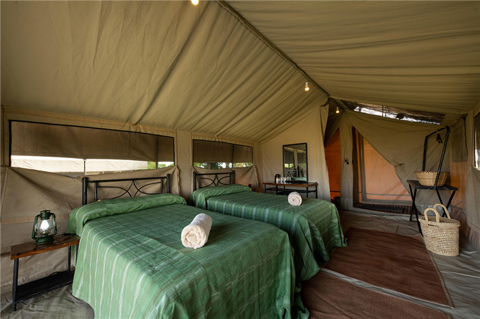 Tarangire Kati Kati - Parc du Tarangire - Tanzanie