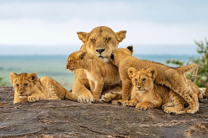 Ma tribu en pleine savane 