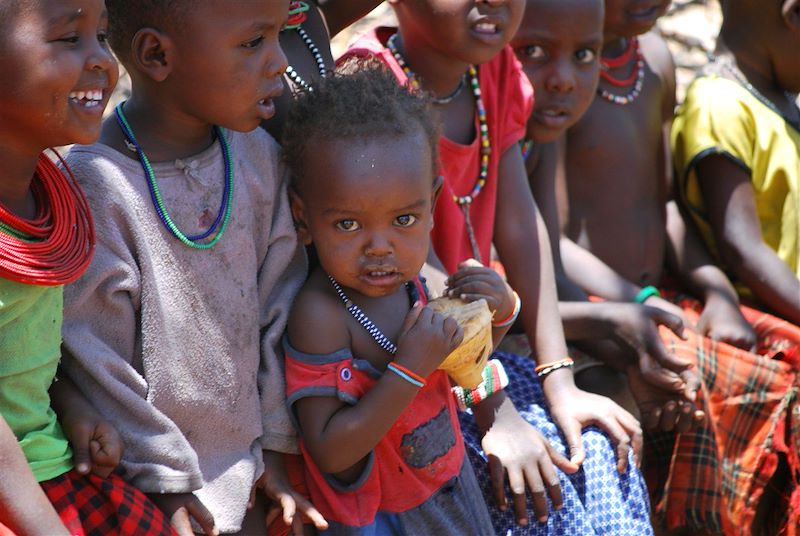 Daktari, Lions et Chimpanzés au Kenya