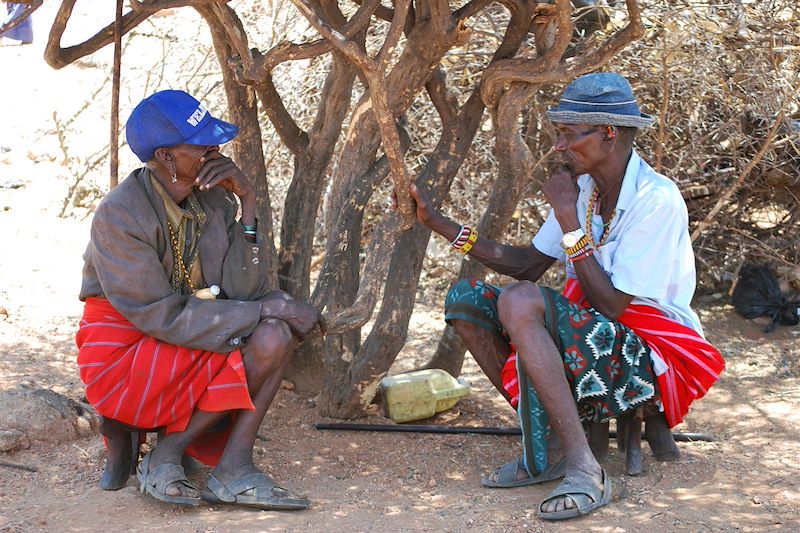 Daktari, Lions et Chimpanzés au Kenya