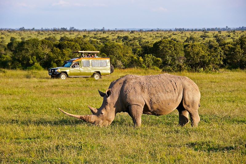 Véhicule de safari près d'un rhinocéros blanc - Ol Pejeta Conservancy - Kenya